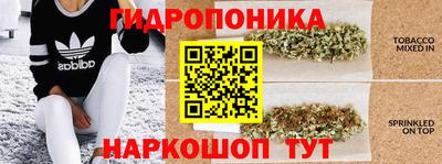 хмурый Новодвинск